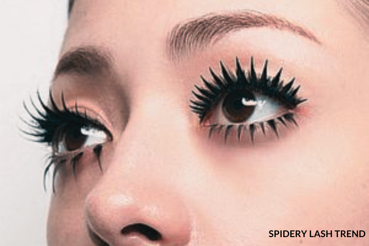 spider lashes 2